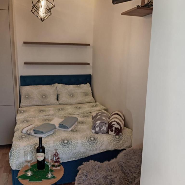 MUNJA Apartman - Apartman sa 1 Spavaćom Sobom - 4