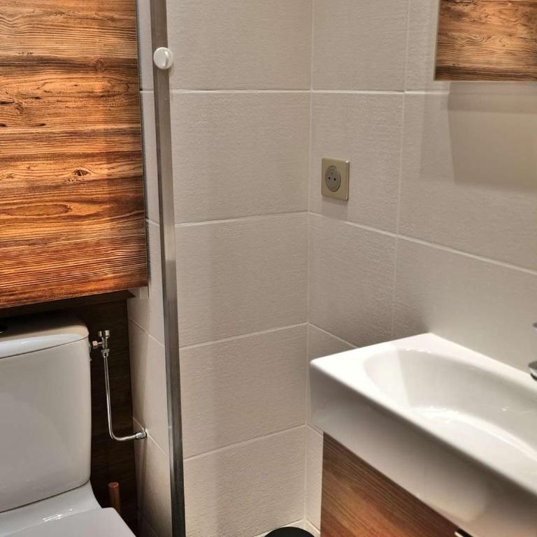 Charmant 2 pièces + mezzanine, 42m², 4 pers, balcon sud, proche commerces et ski bus au Grand-Bornand - FR-1-458-155 - Apartamento - 18