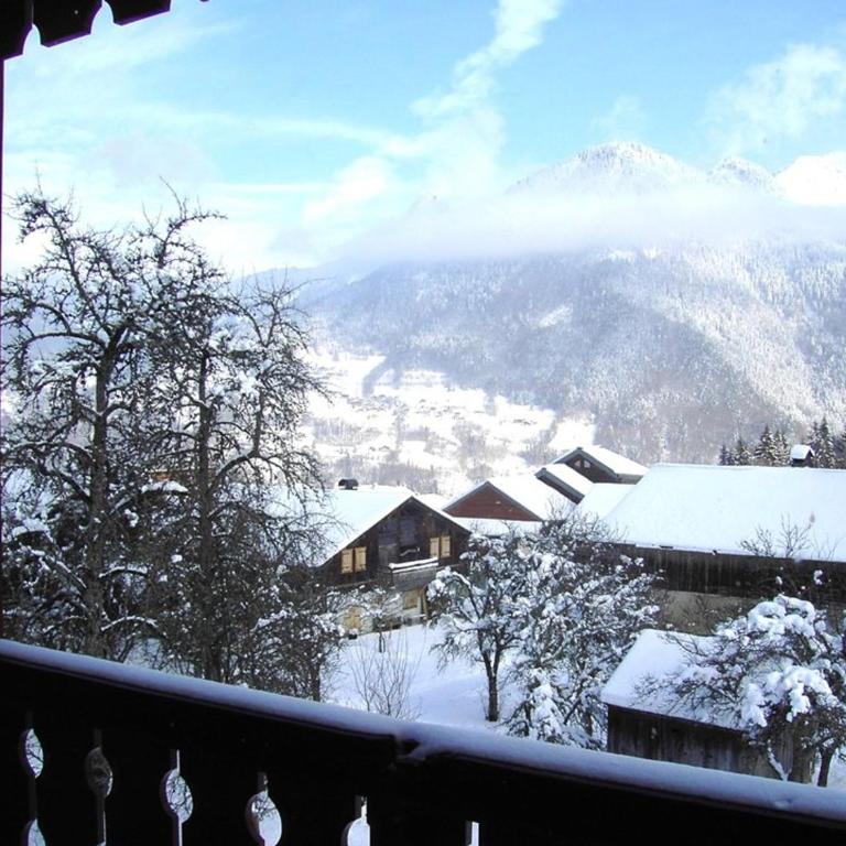 2 pièces à louer à St Jean d'Aulps, 100m des pistes - Appartement 1 Chambre - 20