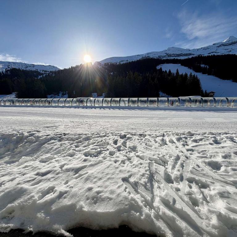 Studio 4 pers. sur les pistes à Flaine, parking, casier à skis, terrasse - FR-1-687-75 - Studio - 11