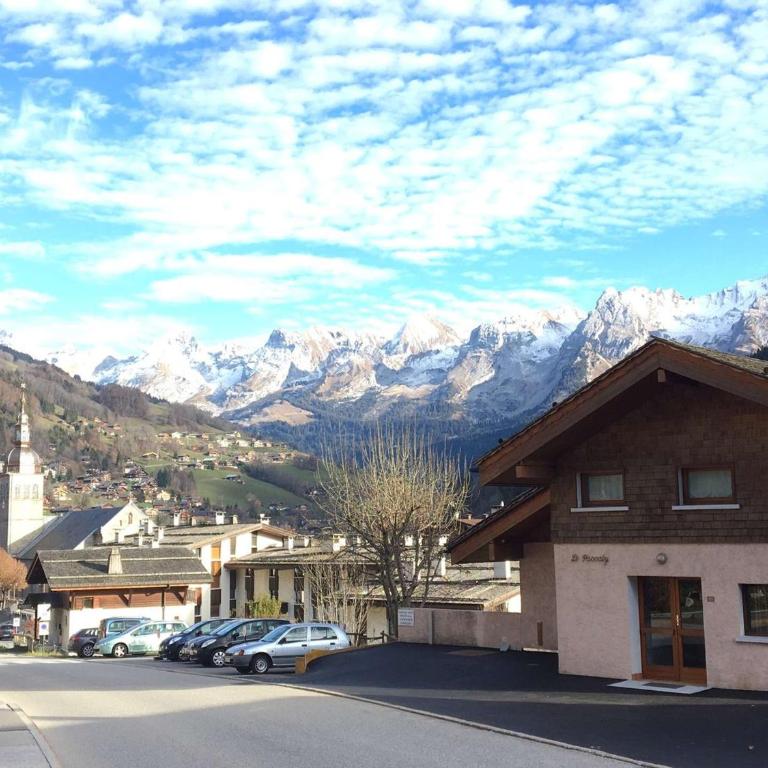 Appartement spacieux au cœur du Grand-Bornand pour 6 personnes - FR-1-458-237 - Apartment - 21