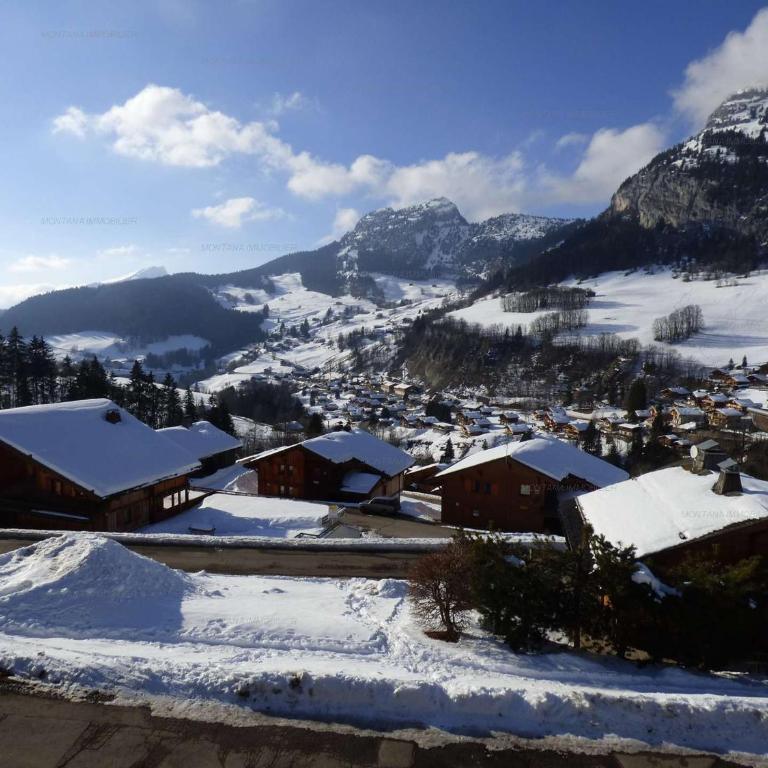 Beau duplex 4 pièces sur pistes - 8 pers - Le Grand-Bornand - FR-1-458-240 - Apartment - 24