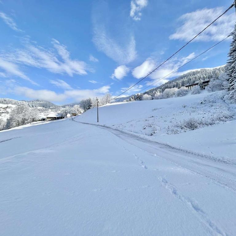 Chalet indépendant avec spa, sauna et cheminée à Notre-Dame-de-Bellecombe - 10 pers - Chalet 3 Chambres - 36