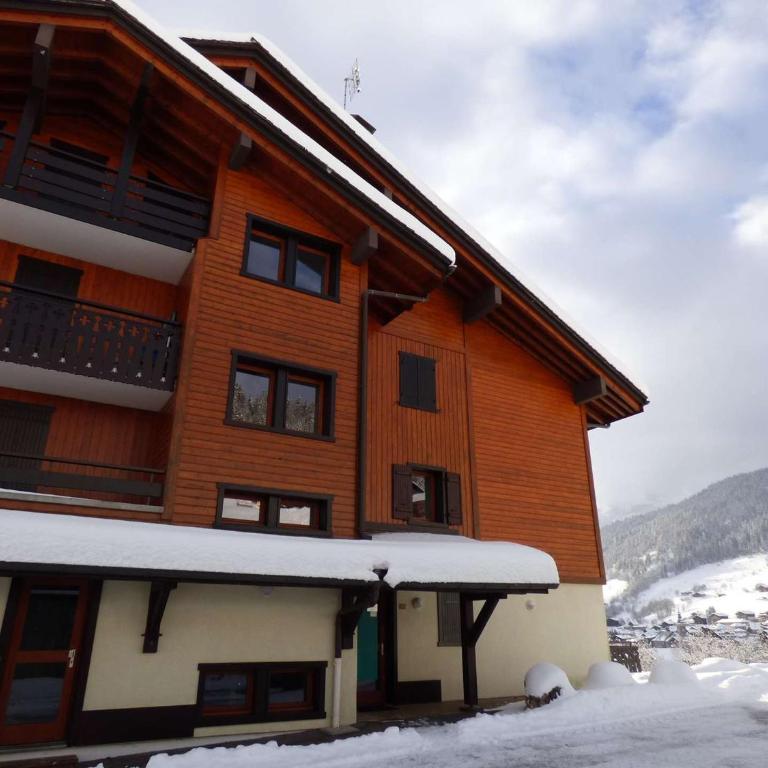 Spacieux 2 pièces + cabine 65m², terrasse sud, pieds des pistes Le Grand-Bornand - FR-1-458-262 - Appartamento - 21