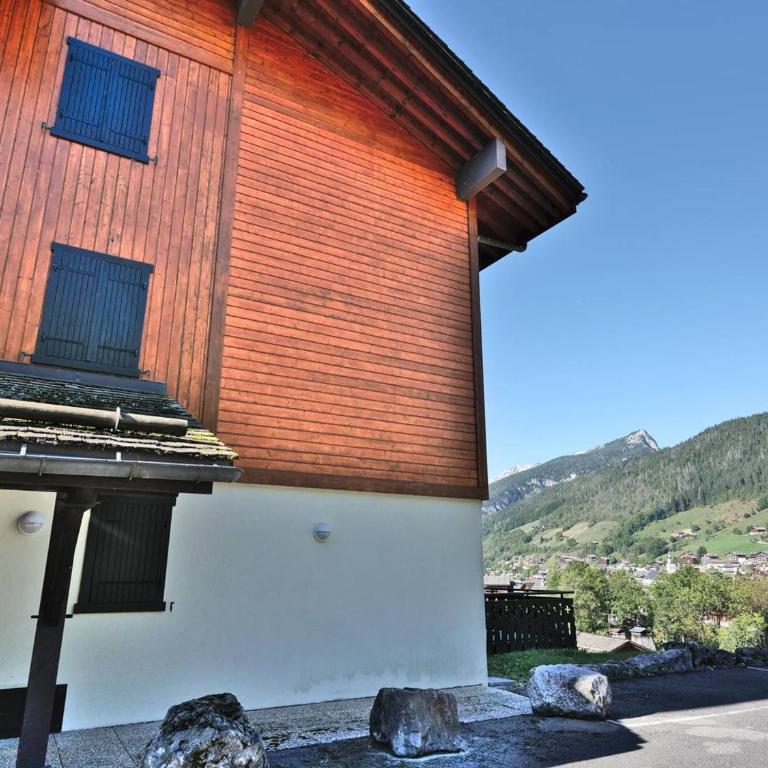 Spacieux 2 pièces + cabine 65m², terrasse sud, pieds des pistes Le Grand-Bornand - FR-1-458-262 - Appartamento - 29