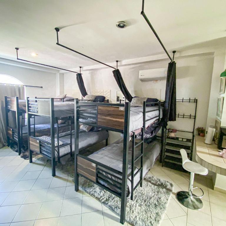Baja Cabo Hostal Arenal - Cama Individual en habitación compartida masculina - 2