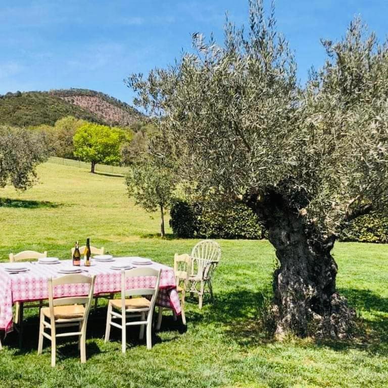 Casa degli Ulivi - Appartamento con 2 Camere da Letto - 4