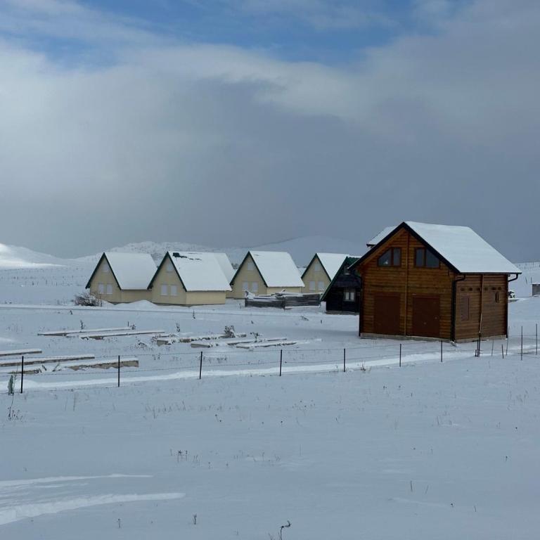 Vila Rakočević - Three-Bedroom House - 1