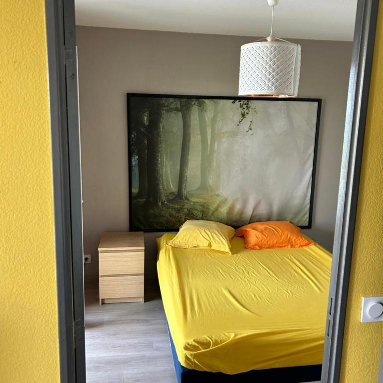 Tosca opéra - Appartement 1 Chambre - 4