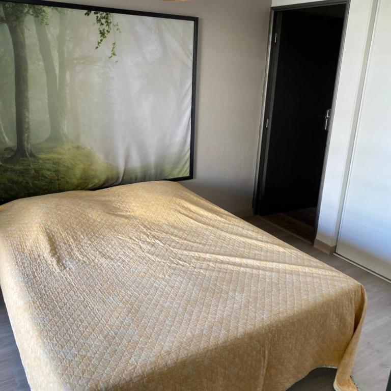 Tosca opéra - Appartement 1 Chambre - 5