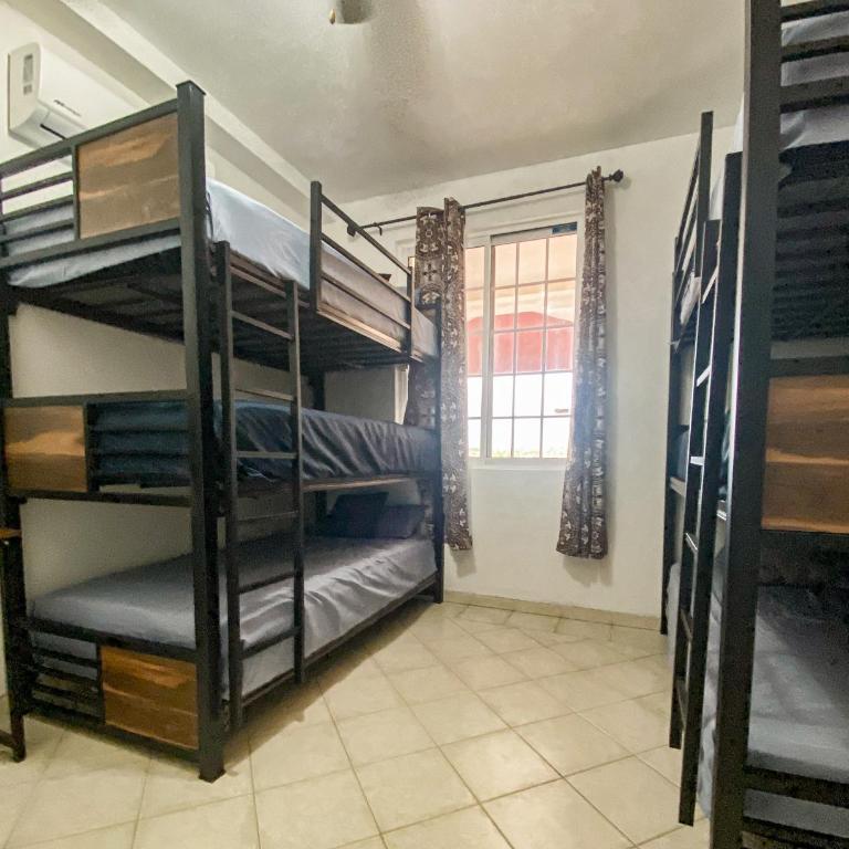 Baja Cabo Hostal Arenal - Habitación Compartida Femenina - 10