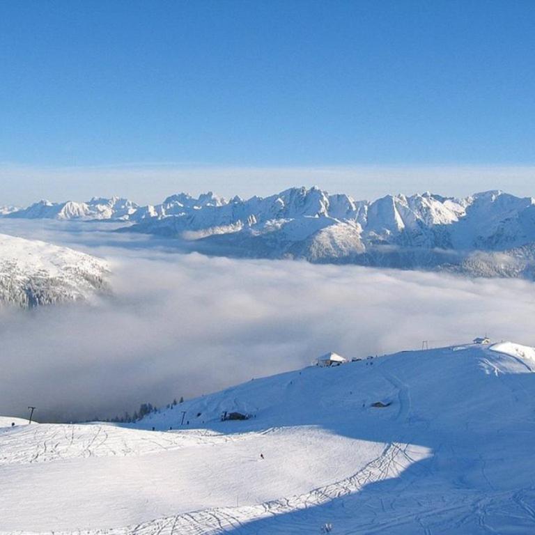 Chalets Dualhaus, 2 Apartments mit Sauna, Nähe Pressegger See, Skibus zum Nassfeld - Chalet mit 2 Schlafzimmern - 32