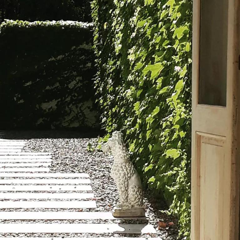 In the historic district and 10 min terminals - One-Bedroom Apartment - 7