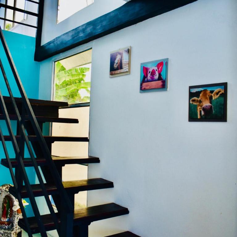 Casa Quinta El Capi - Casa de 6 dormitorios - 16