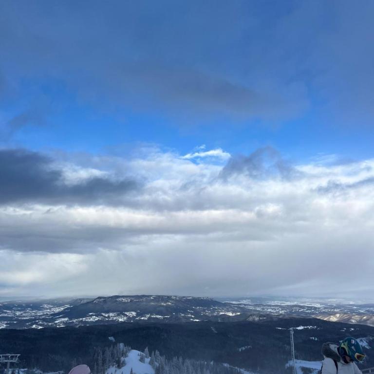 Alpine Soul Apartment - One-Bedroom Apartment - 18