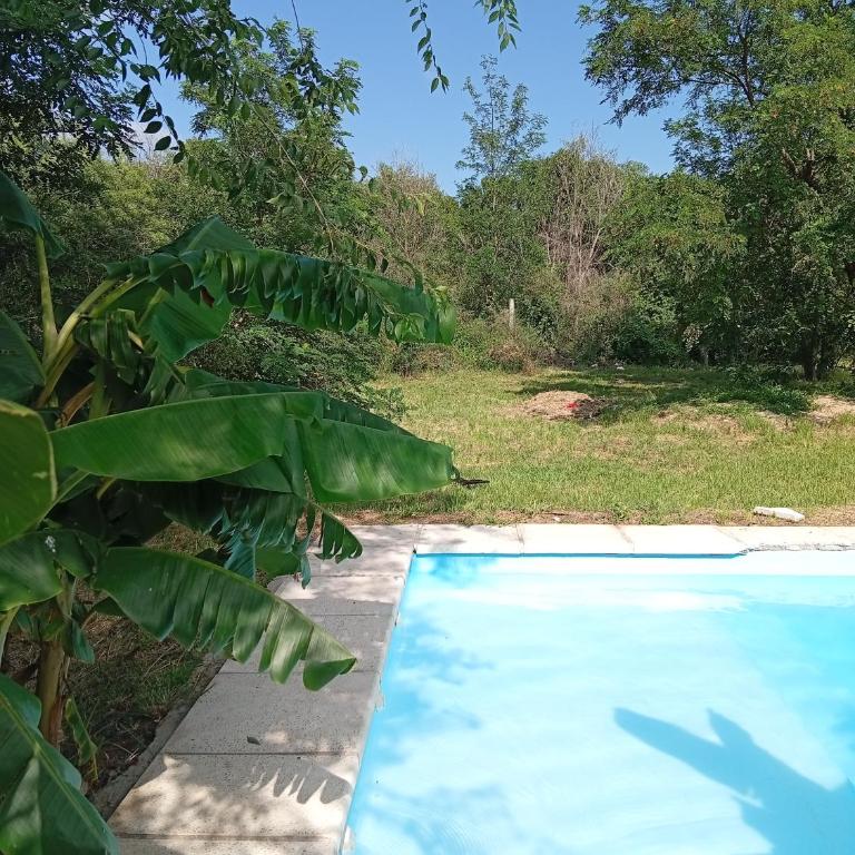 Casas Tierra de Ensueno - Casa - 38