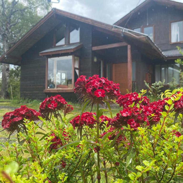 La Casona del Trancura - Six-Bedroom House - 2