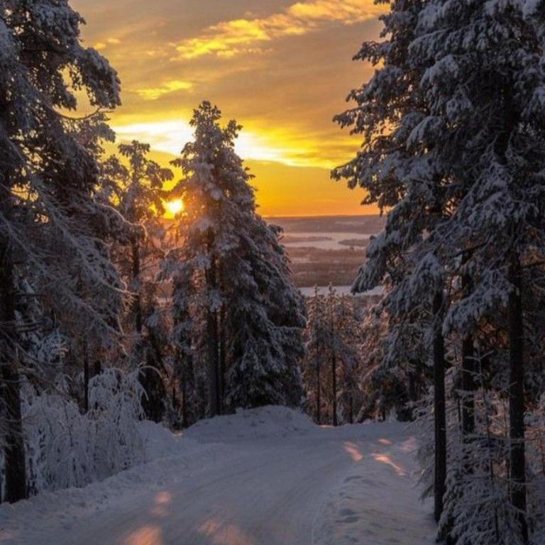 Alpine Soul Apartment - One-Bedroom Apartment - 14