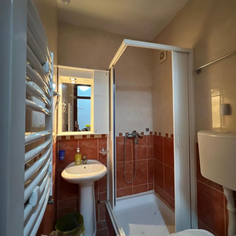 Apartman Irena - One-Bedroom Apartment - 17