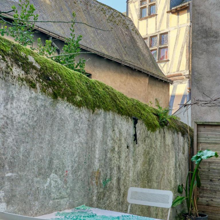 Cœur Historique et Paisible - Hôtel de Ville - Two-Bedroom Apartment - 35