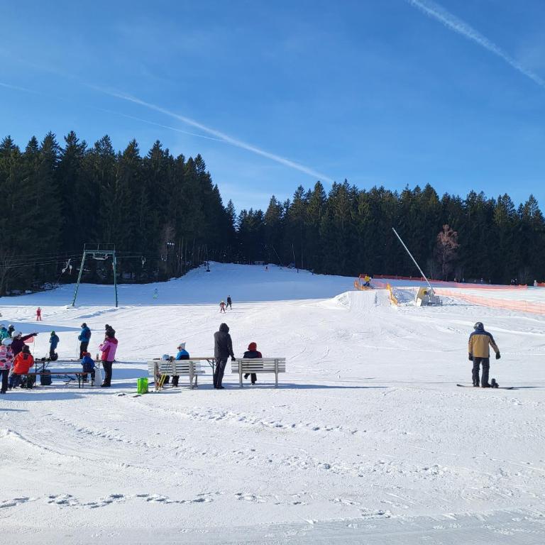 Bergzauber Bayerwald - voll ausgestattetes Familienapartment mit Pool - Apartment mit 1 Schlafzimmer - 82