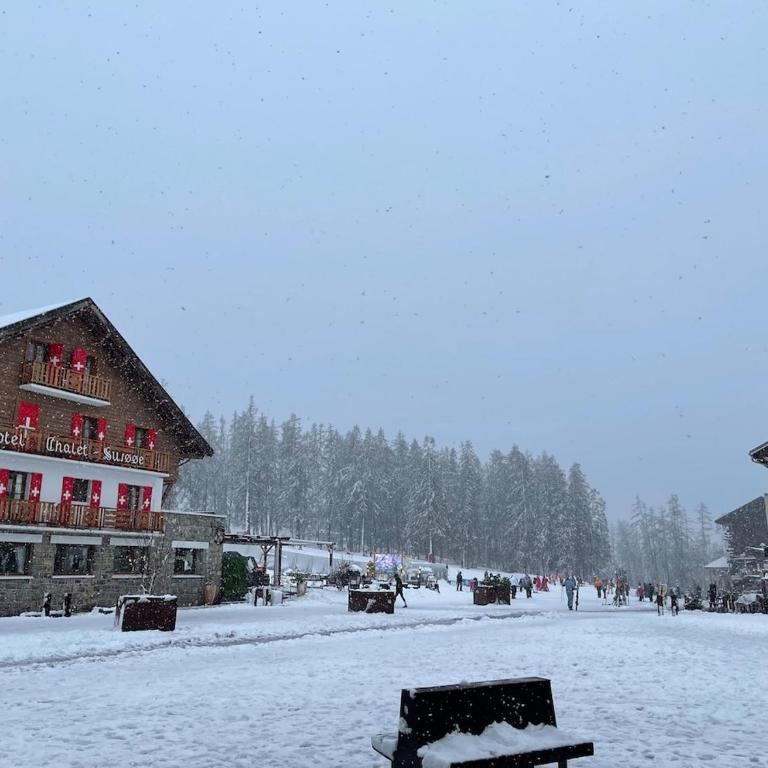 Luxury Chalet Valberg sauna jacuzzi gym- 1hour from Nice airport - Chalet - 38