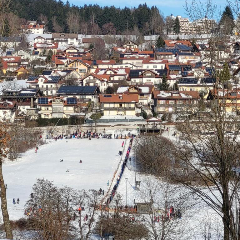 Bergzauber Bayerwald - voll ausgestattetes Familienapartment mit Pool - Apartment mit 1 Schlafzimmer - 77