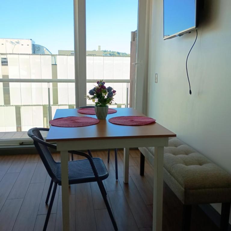 Departamento balcon y living - Apartment with Mountain View - 10