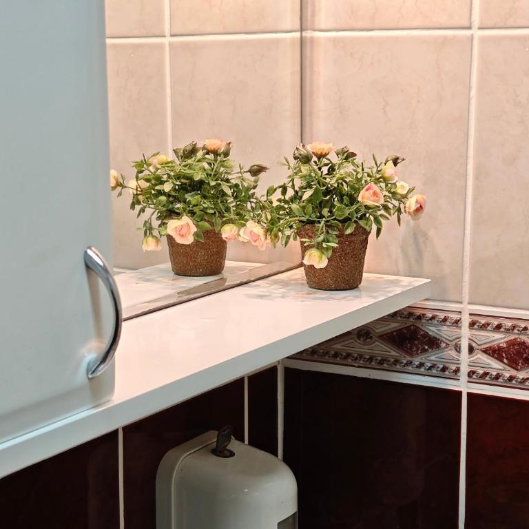 Apartments Jovanovic - Apartment - Ground Floor - 4
