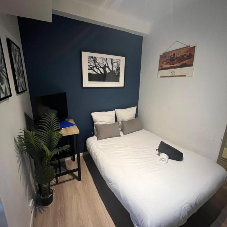 Nantes Mangin-direct gare-parking-proche commerces - One-Bedroom Apartment - 11