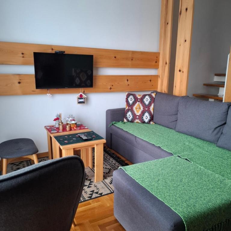 Zlatibor apartman Iva - Apartman sa 2 Spavaće Sobe - 3