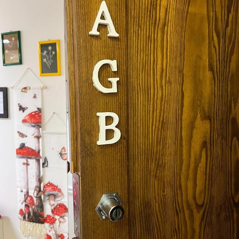 Cambra AGB - Appartamento Monolocale - 13
