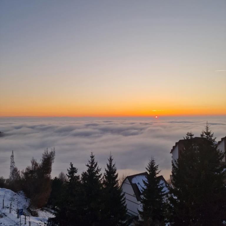 SkyLux Apartments Kopaonik - Residence Hill - Apartment with Mountain View - 16