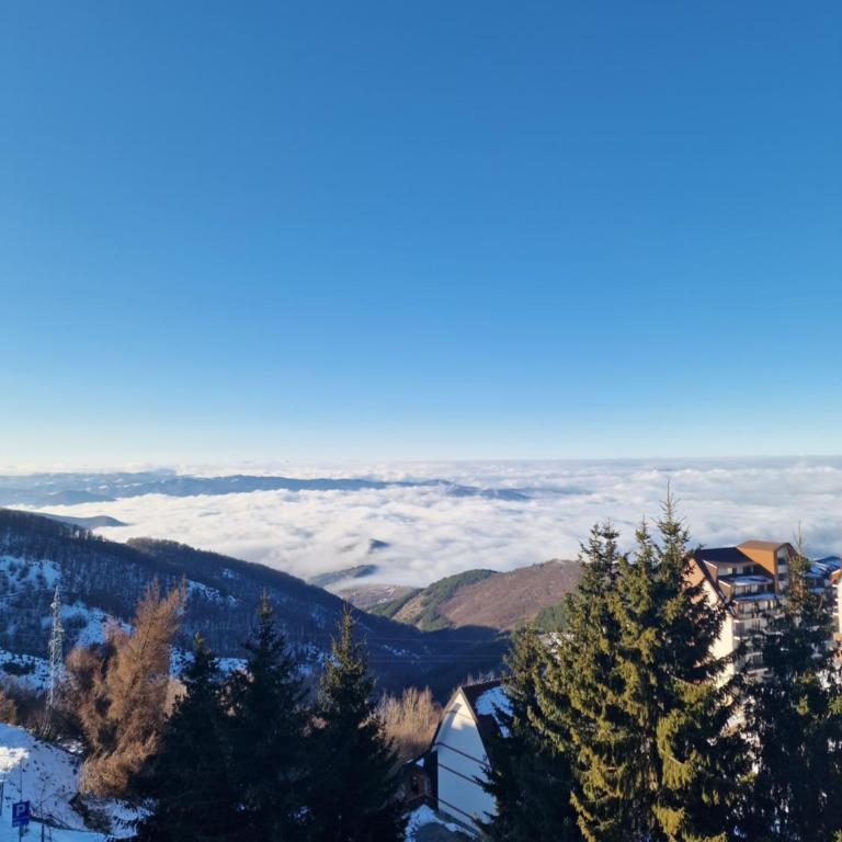SkyLux Apartments Kopaonik - Residence Hill - Apartment with Mountain View - 18