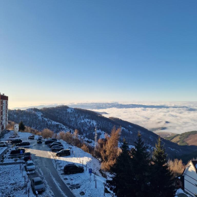 SkyLux Apartments Kopaonik - Residence Hill - Apartman sa Pogledom na Planinu - 21