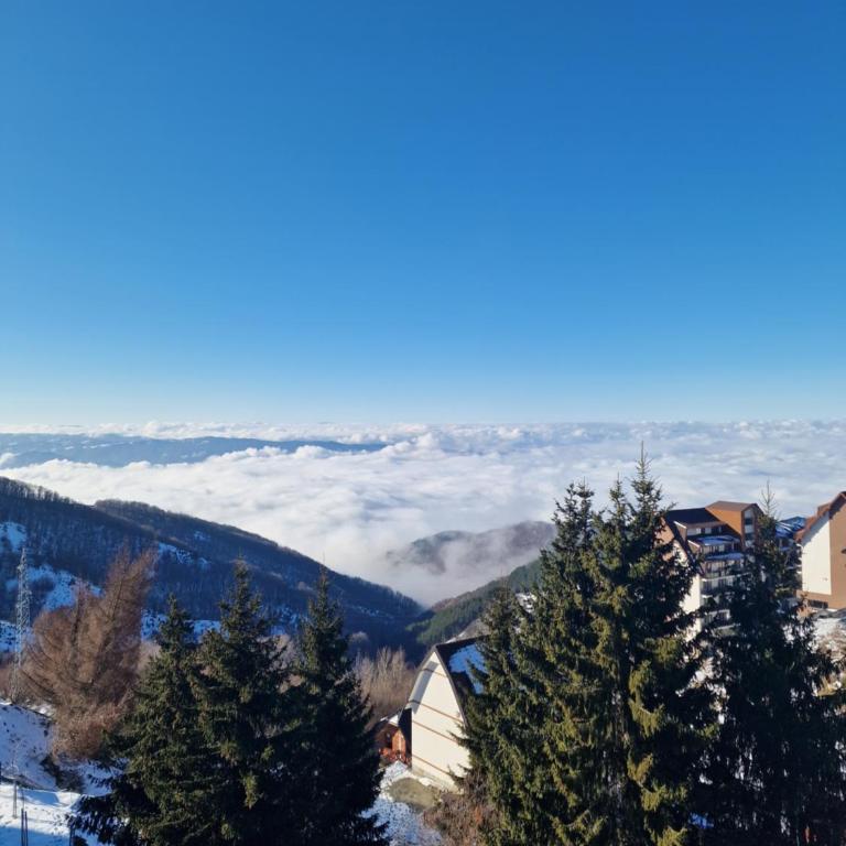 SkyLux Apartments Kopaonik - Residence Hill - Apartment with Mountain View - 52