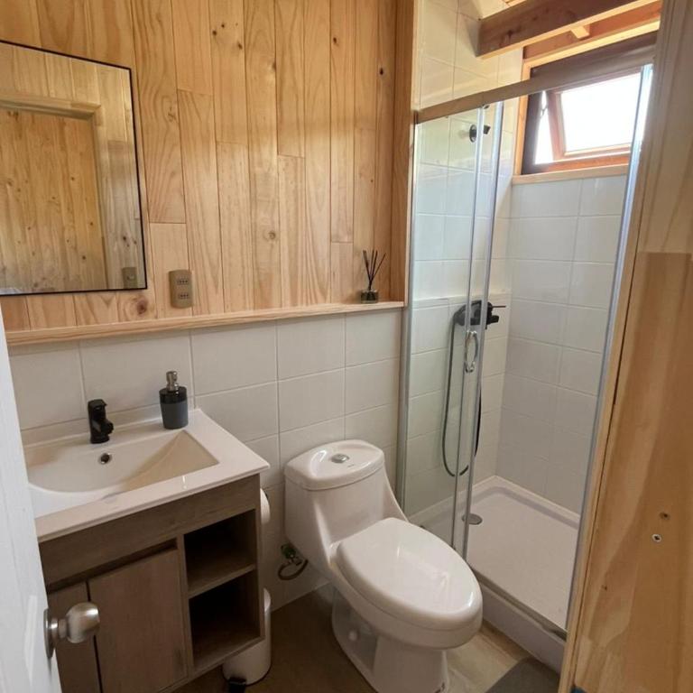 Cabañas Bordelafken Licanray - One-Bedroom Apartment - 3
