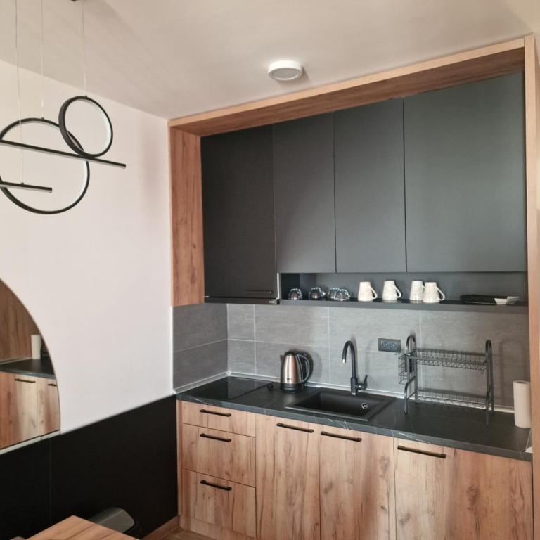 SkyLux Apartments Kopaonik - Residence Hill - Apartment with Mountain View - 71