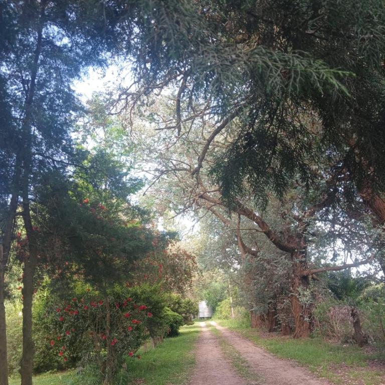 Casa Quinta EL CAMPO Zarate - Casa de 2 dormitorios - 19