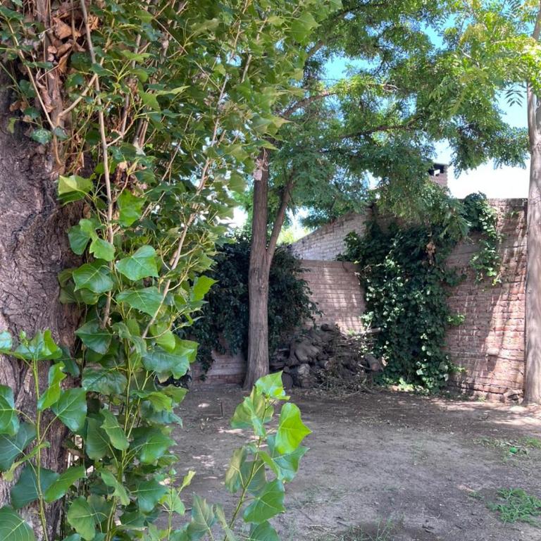Amplia casa con patio - Casa - 4