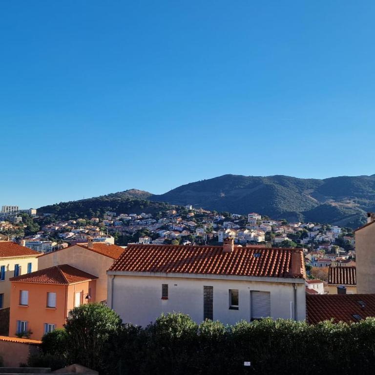 Bel appart T2 à Banyuls avec terrasse et parking privé - FR-1-309-146 - One-Bedroom Apartment - 9