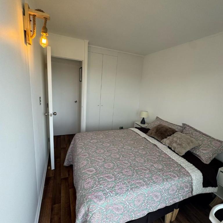 With a view of the volcano and lake in Villarrica - Apartamento de 1 dormitorio - 9