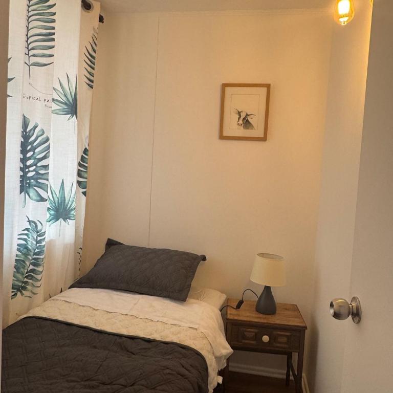 With a view of the volcano and lake in Villarrica - Apartamento de 1 dormitorio - 15