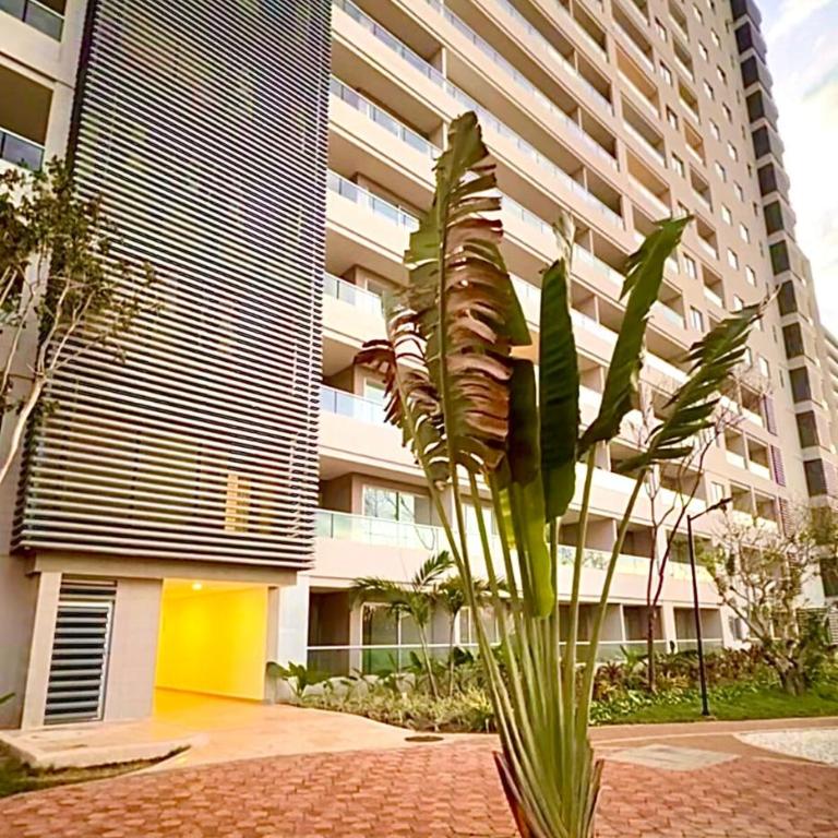 Aqua Marine Suite - Santa Marina Condo - Apartamento de 2 dormitorios con balcón y vistas al mar - 32