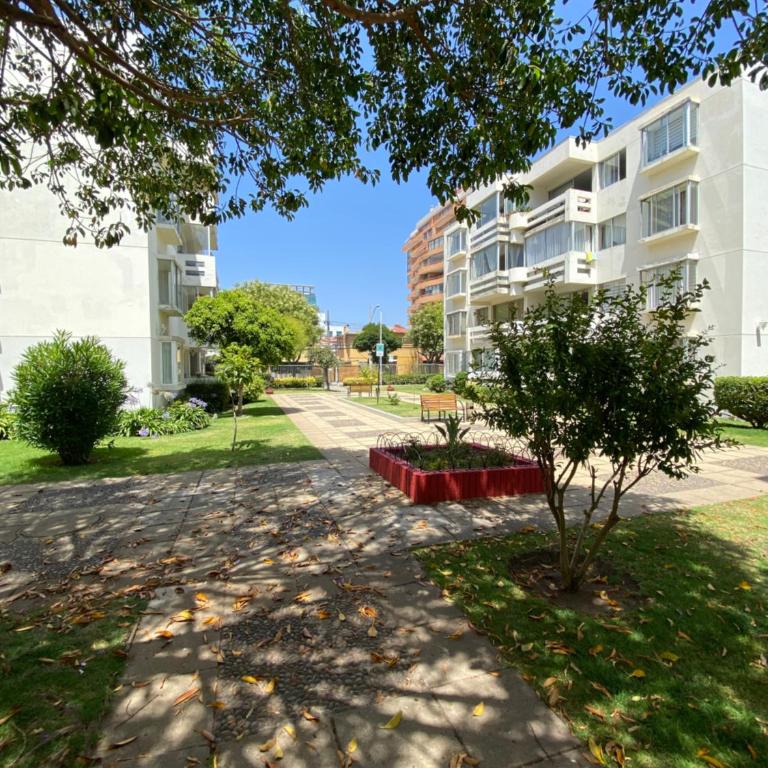 Departamento viña del mar - Three-Bedroom Apartment - 24