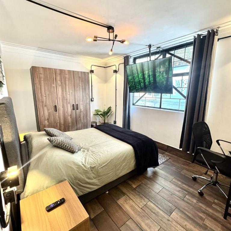 Large, bright apartment 1 - Apartamento de 1 dormitorio - 5