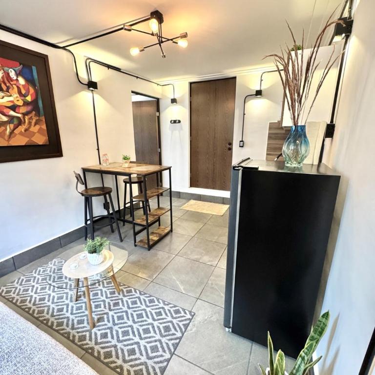 Large, bright apartment 1 - Apartamento de 1 dormitorio - 6