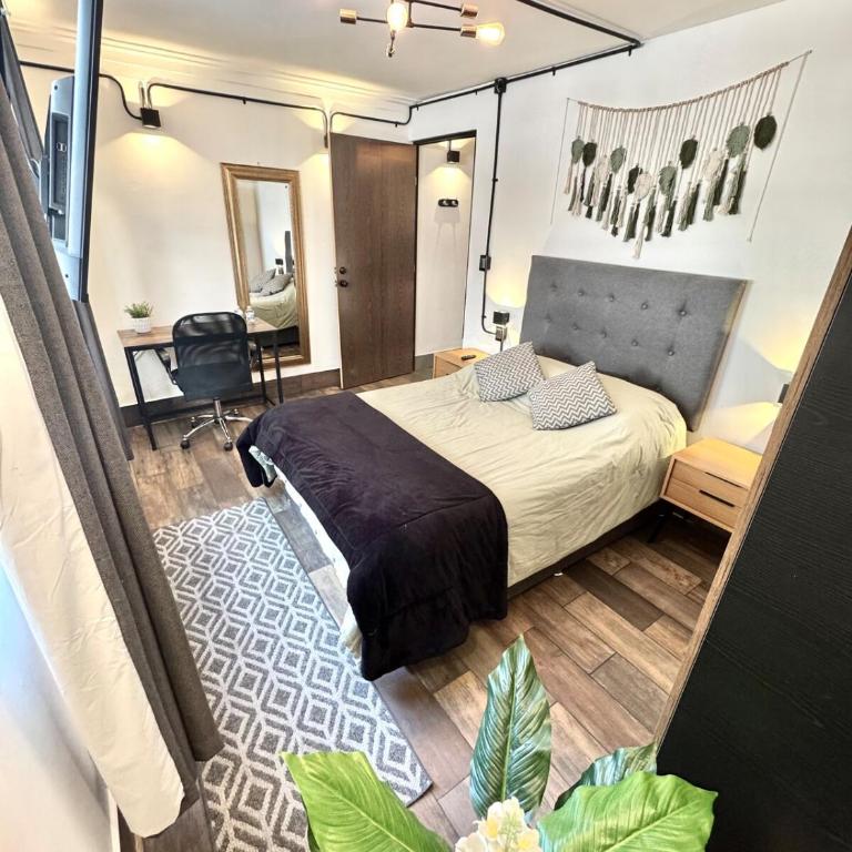 Large, bright apartment 1 - Apartamento de 1 dormitorio - 2