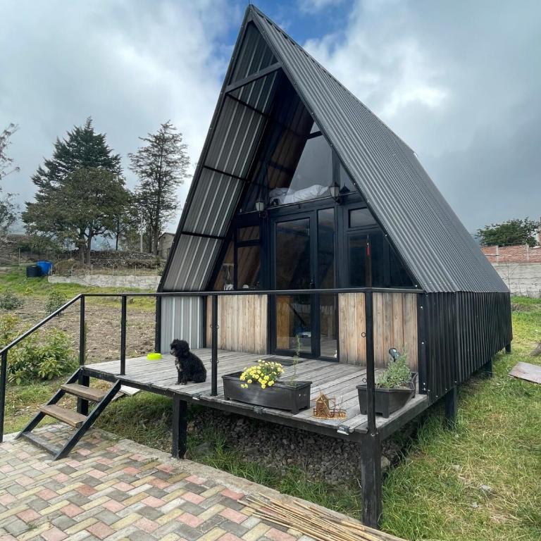 Alpine House - Two-Bedroom Apartment - 2