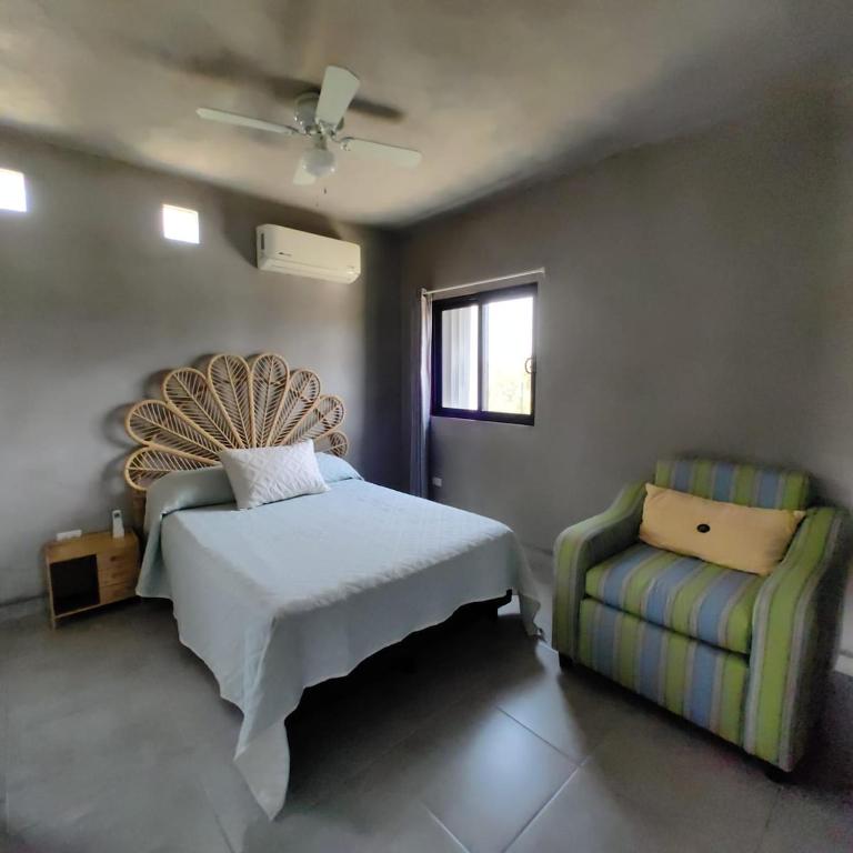 Paraiso Rustico en San José del Cabo - One-Bedroom Apartment - 10